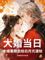 《大婚当日，未婚妻跑去给白月光渡劫》陆凡苏浅浅全集大结局免费阅读