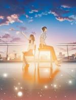 手可摘星辰沈折星苏禾txt小说免费阅读【无广告】