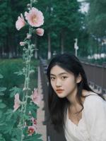 《风停雨歇无归人》赵心怡江织傅寒川全集大结局免费阅读