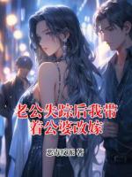 老公失踪后我带着公婆改嫁(许念卫安)小说全文章节在线阅读