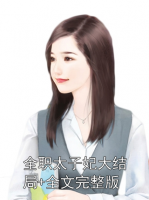 全职太子妃大结局+全文完整版