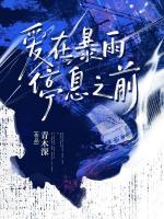 爱在暴雨停息之前