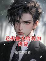 林越王强小说(老板他不给我加班费)免费阅读全文无弹窗