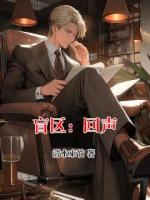 盲区：回声小说原著免费阅读 池一田陈娜全文阅读