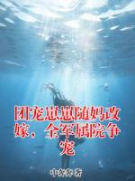 团宠崽崽随妈改嫁，全军属院争宠(苏晚晚顾柏海)小说免费阅读全文