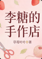 李糖的手作店