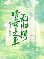 晴空之上无归期