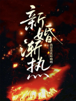 桑念周遇礼全文免费阅读 新婚渐热无广告完整版