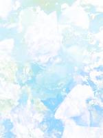 重生后我被影后老婆宠坏了