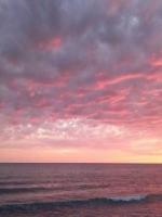 他的谎言，我的遗憾