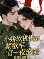 小娇软进错房，禁欲军官一夜沦陷