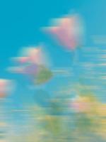 被后妈立规矩，我爸当场下跪求饶