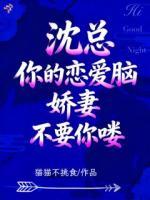 都要离婚了，我在豪门发疯很合理啊主角(江虞沈承晏)全文txt免费阅读