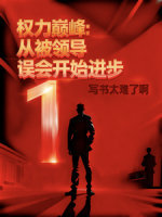 权力巅峰:从被领导误会开始进步