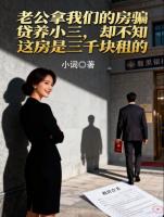 老公拿我们的房骗贷养小三，却不知这房是三千块租的