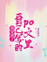 我穿进了自己写的po文里(沈予辞顾清寒)全文免费阅读无弹窗