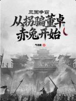 三国争霸：从拐骗董卓赤兔开始全文阅读(卫峥赵云)无广告完整版