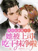 离婚偷偷藏不住，她被上司吃干抹净啦txt免费阅读无弹窗 沈霜娆谢宗睢全部章节