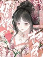入府做奶娘，小寡妇被权臣们疯抢