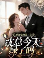 婚后第三年，沈总还在求原谅小说免费阅读全文(安也沈晏清)无删减