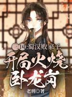 刘芒诸葛亮全文阅读 三国:蜀汉败家子,开局火烧卧龙岗原著免费阅读