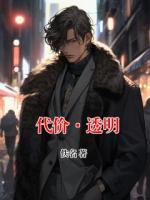 陆沉07的小说全文免费阅读 代价·透明无删减完整版