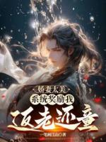 楚风林夕月《娇妻太美,系统奖励我返老还童》免费阅读入口无弹窗