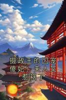摄政王的囚宠傻妃：夫人又惹祸了