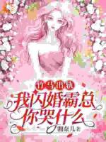 陆灵犀江宴霆全文免费大结局 丈夫的报恩婚姻?真相曝光小说更新完了吗