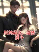 纸鹤藏意，遗憾满冬