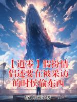 【逍零】假扮情侣还要在被采访的时侯偷东西(逍遥零)小说免费阅读全文