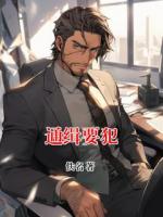 《通缉要犯》主角宋江张文远全文免费阅读无弹窗