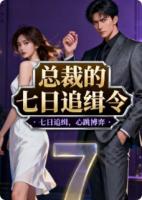总裁的七日追缉令