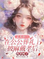 丈夫小三在公公葬礼上披麻戴孝后，我杀疯了