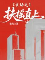 官场之扶摇直上txt免费阅读无弹窗 张晨孙颖全部章节