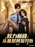 权力巅峰：从基层民警开始全文阅读(齐学斌林晓雅)无广告完整版