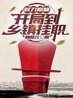 王成李小蕊小说免费阅读 权力巅峰：开局到乡镇挂职全部章节