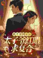 《小说名》_宋珍珠傅璟小说免费阅读全文