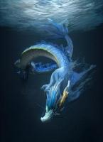 宅怨·背后的影子txt全本免费阅读 周启轩刘诗韵结局