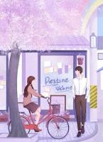 繁星向北路漫漫